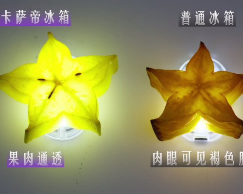 冰箱保鲜“鹰眼”挑战:中网合作伙伴卡萨帝唯一营养留存率超99%