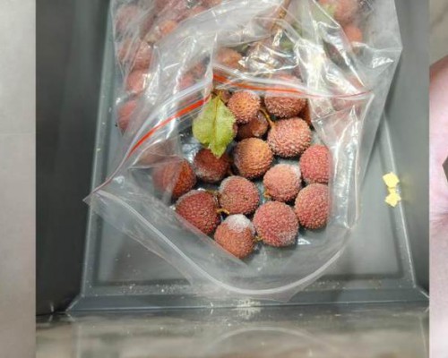 用户实测卡萨帝冰箱：荔枝冻6个月原汁原味