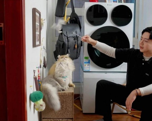 别人标尺刚落地，统帅用户已入手！青年演员毕彤辉分享懒人洗家族体验