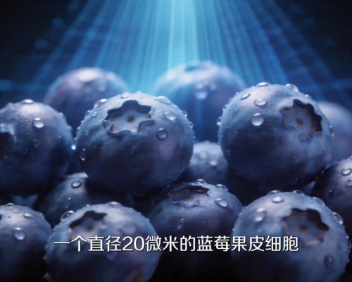 20年品牌10年冠军：卡萨帝冰箱AI细胞级养鲜守护20微米蓝莓细胞