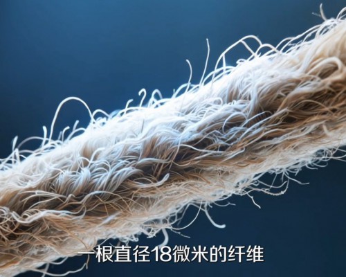 20年品牌10年冠军：卡萨帝洗衣机AI深度奢护科技呵护18微米纤维柔软